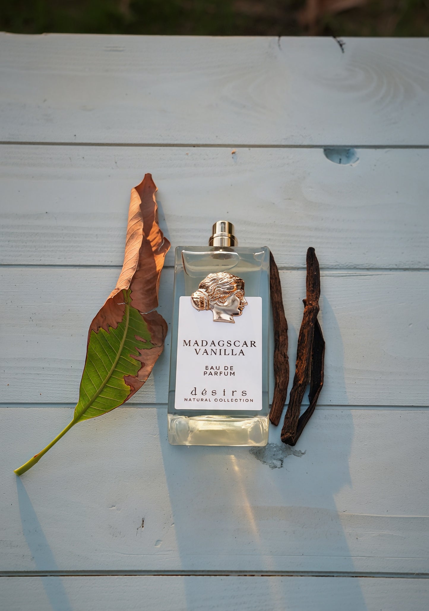 Madagascar vanilla