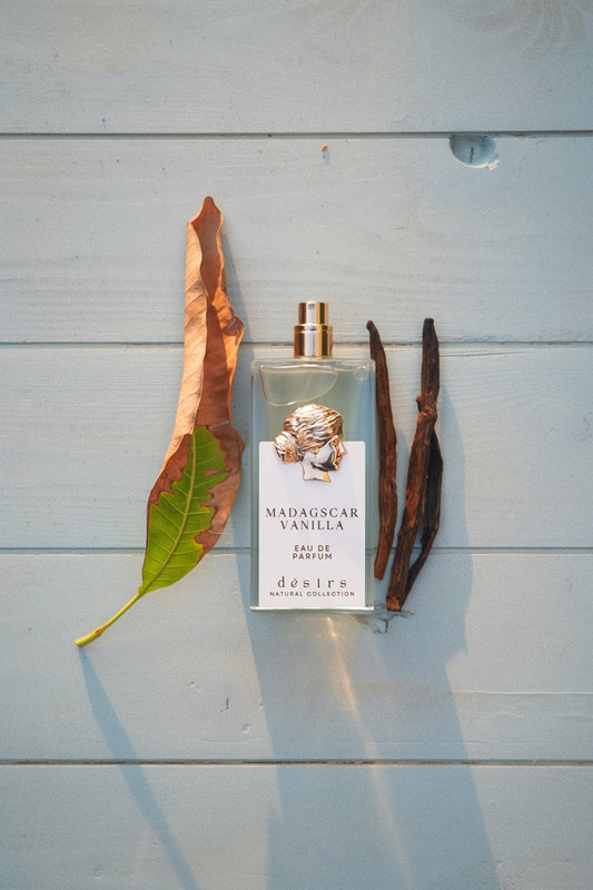 Madagascar vanilla