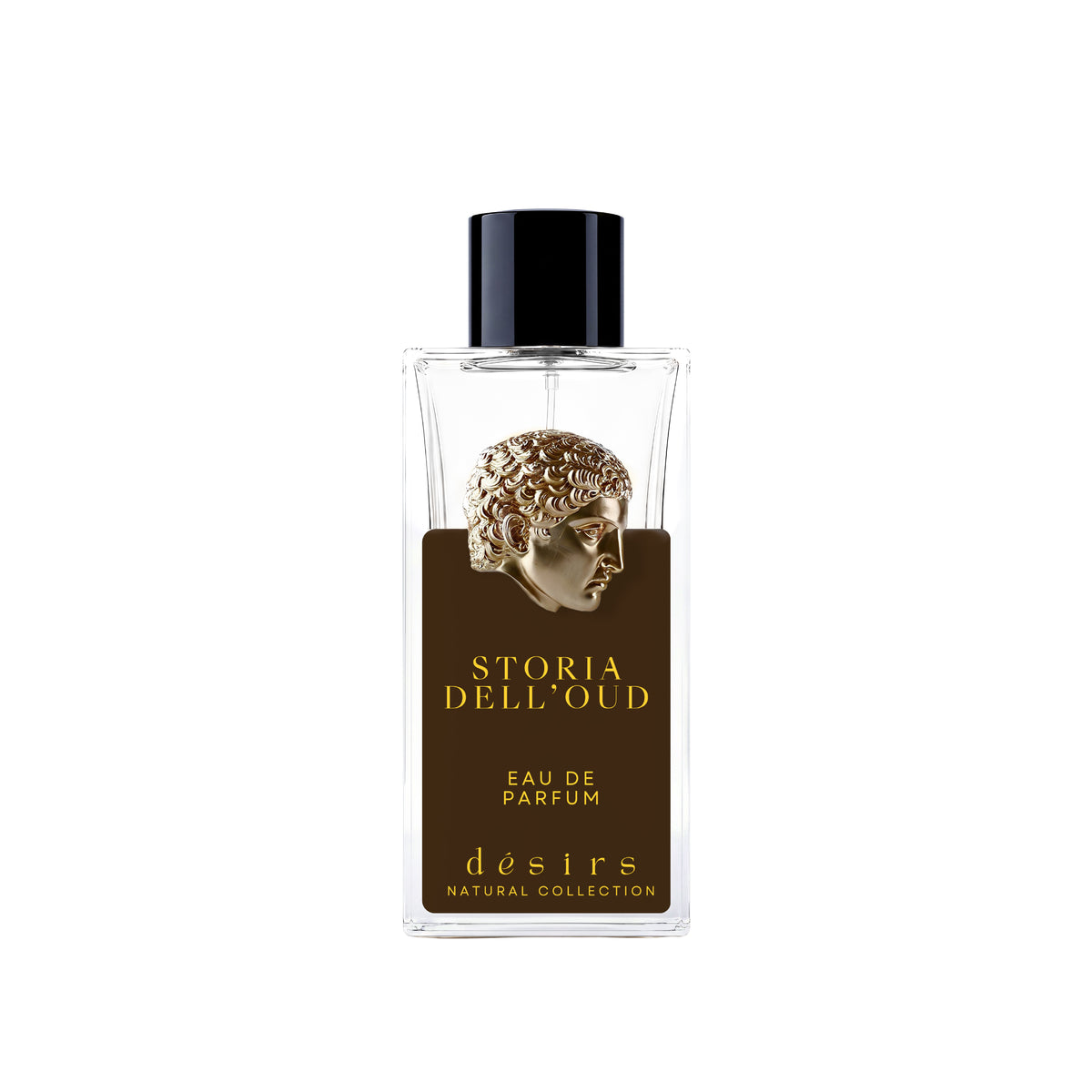 Storia dell’oud