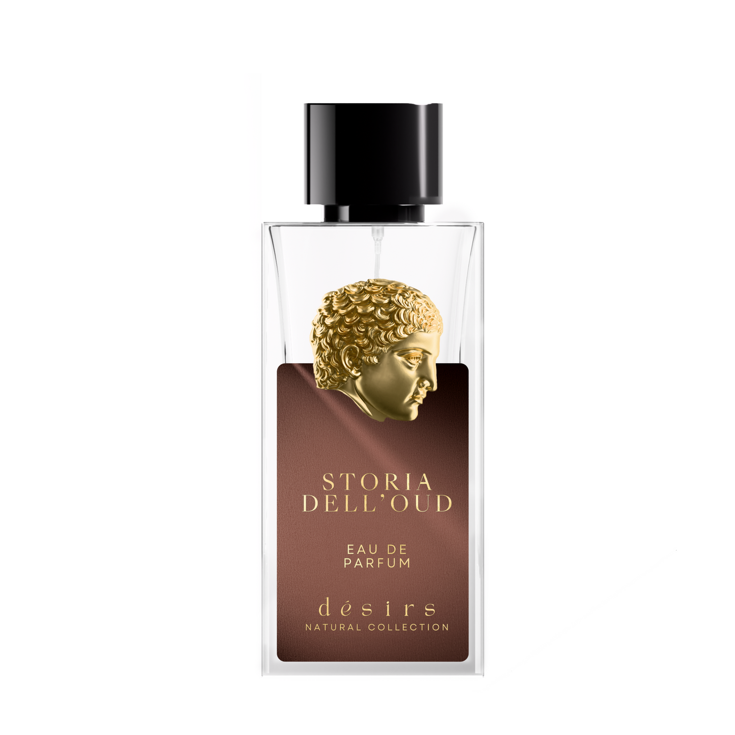 Storia dell’oud