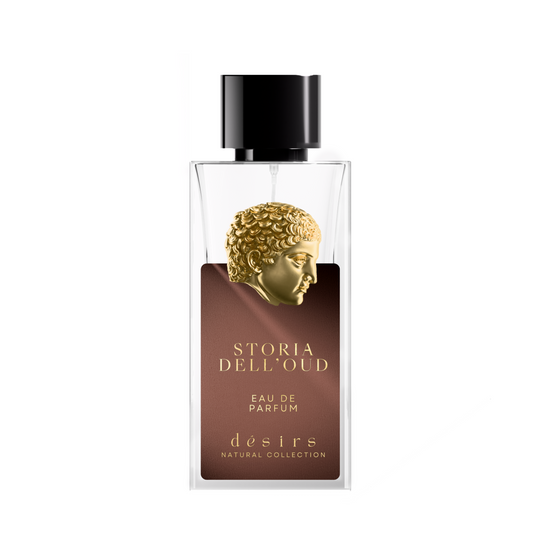 Storia dell’oud